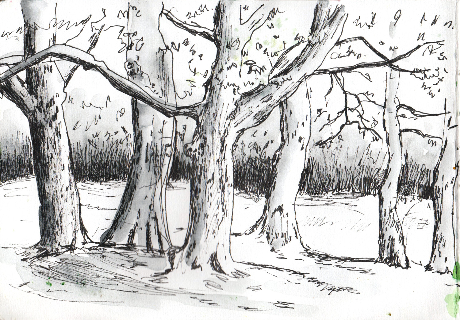 1500x1043 Spring Landscape Drawings And Watercolour Paintings - Tree Landscape Drawing