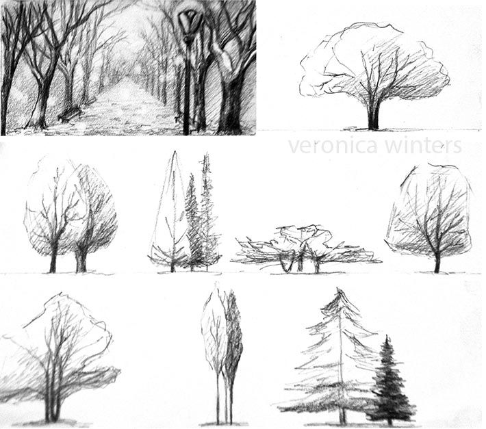 710x627 the secret to great landscape drawings practice landscape - Tree Landscape Drawing