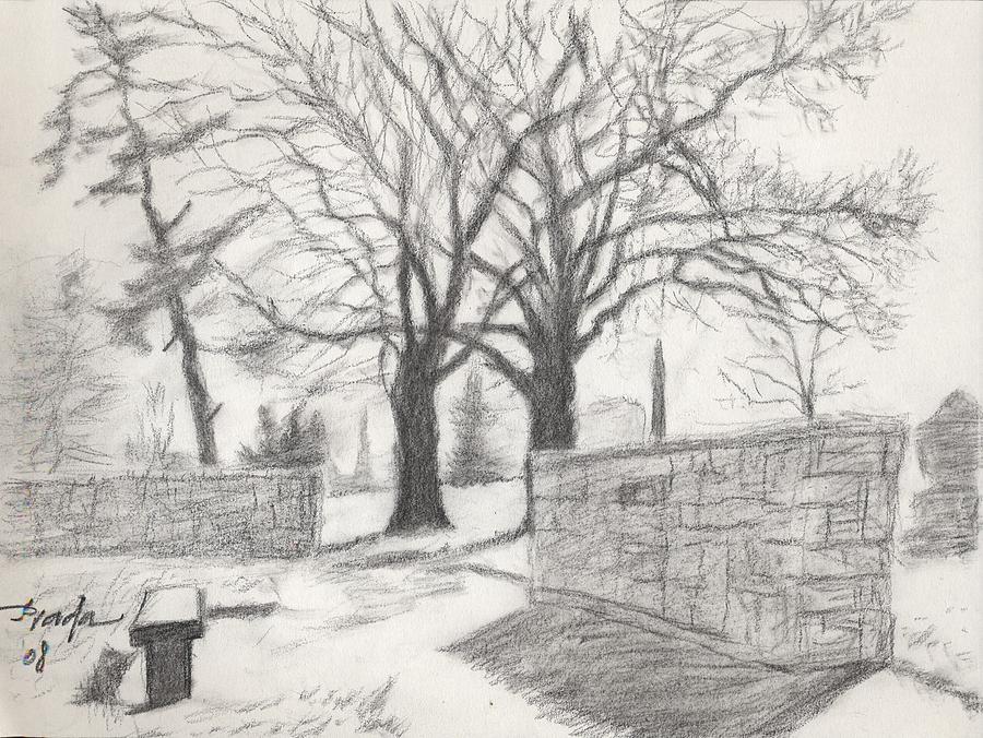 900x676 The Tree Of Life Drawing - Tree Landscape Drawing