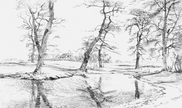 615x367 Tree Landscape Drawing Free Stock Photo - Tree Landscape Drawing