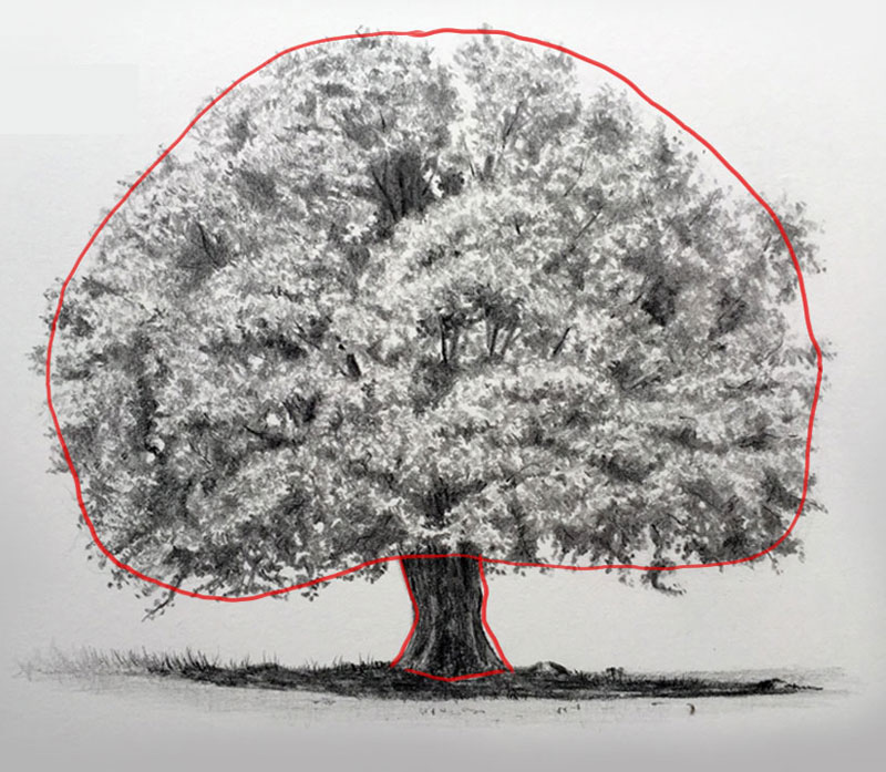 800x697 How To Draw Trees - Tree Leaves Drawing