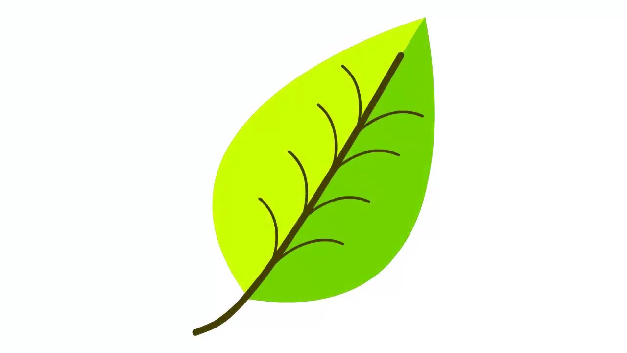 1280x720 How To Draw Simple Plane Leaf - Tree Leaves Drawing