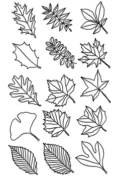245x350 Leaf Clipart Types Of Tree Leaves Line Drawings - Tree Leaves Drawing