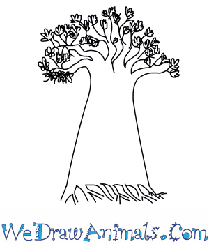 300x350 How To Draw A Baobab Tree - Tree Line Drawing