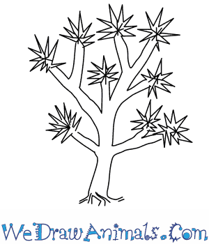 300x350 How To Draw A Joshua Tree - Tree Line Drawing