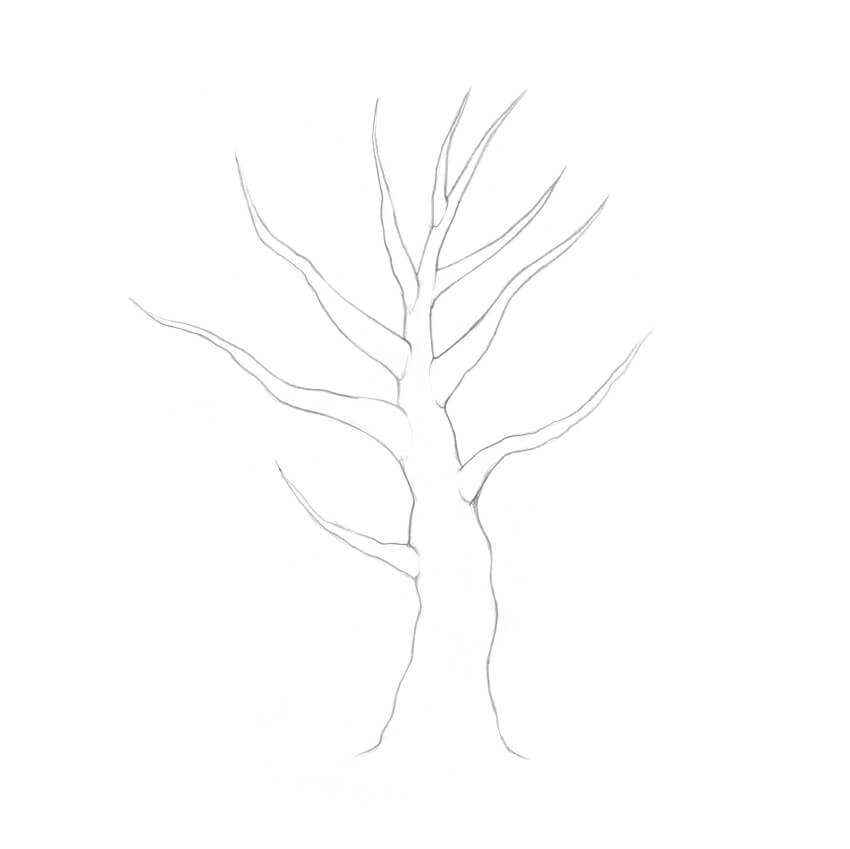 850x849 How To Draw A Tree - Tree Line Drawing