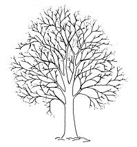 Tree Line Drawing at PaintingValley.com | Explore collection of Tree ...