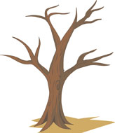 164x190 Pictures Cartoon Tree With No Leaves - Tree No Leaves Drawing