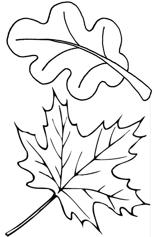 600x900 Tree With No Leaves Coloring Page - Tree No Leaves Drawing