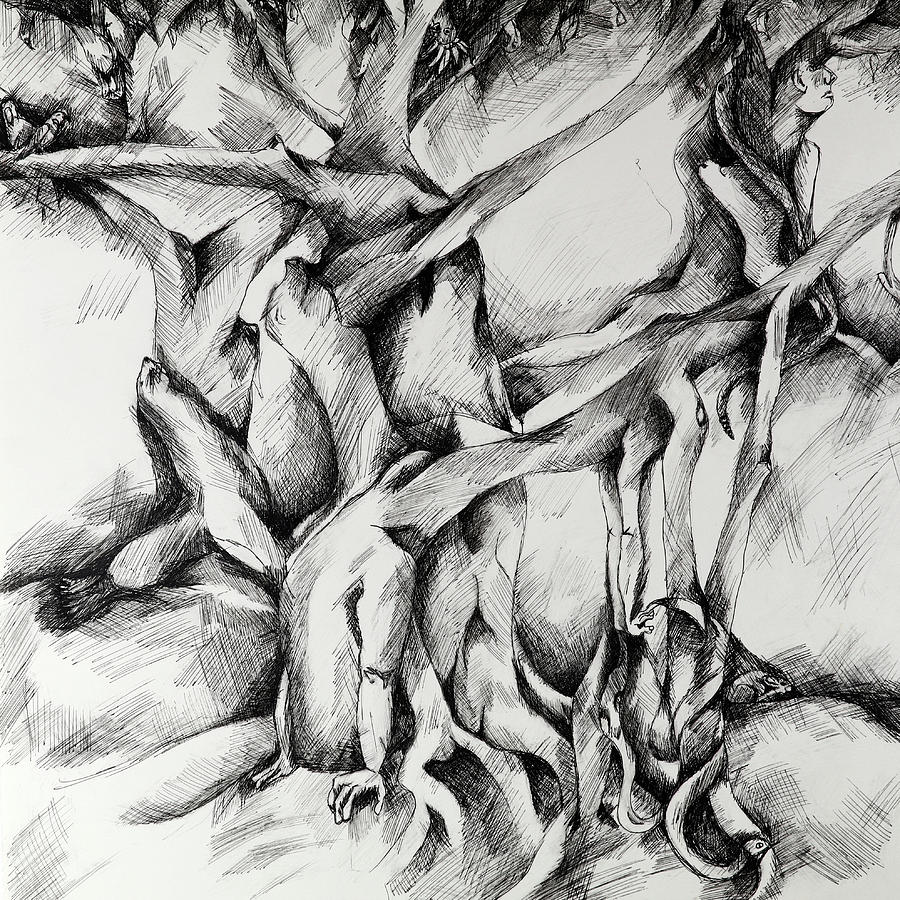 900x900 Tree Of Life Drawing - Tree Of Life Drawing