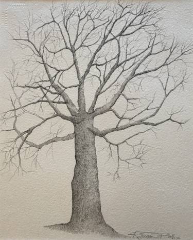 375x468 Tree Of Life Drawing - Tree Of Life Drawing