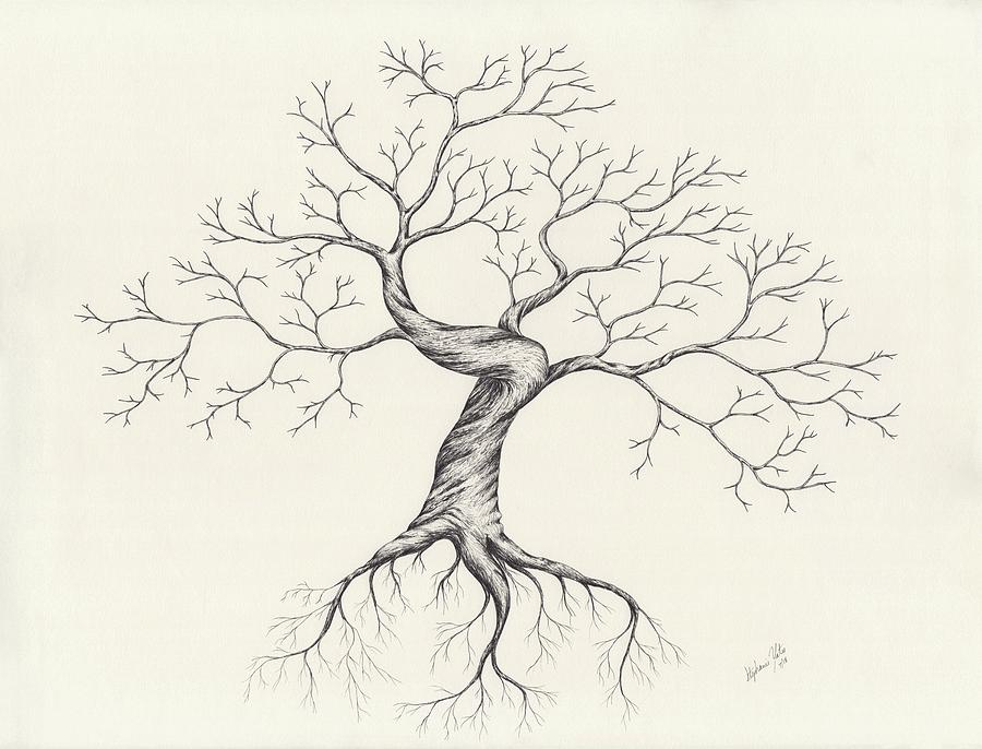 900x686 Tree Of Life Drawing - Tree Of Life Drawing