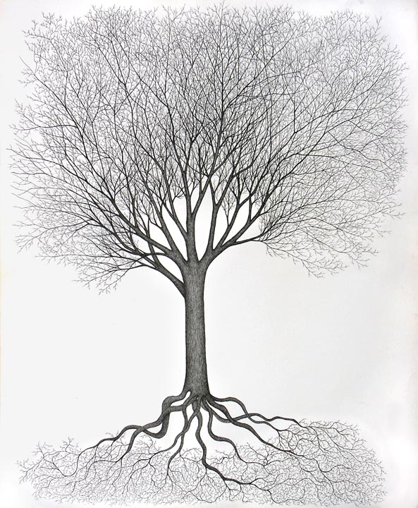 593x720 Tree Of Life Forge Communications - Tree Of Life Drawing