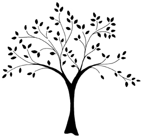 281x270 impression obsession - Tree Of Life Line Drawing