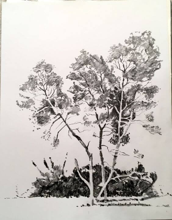 564x719 Pencil Drawings Of Nature That Will Make You Want To Be An Artist - Tree Of Life Pencil Drawing