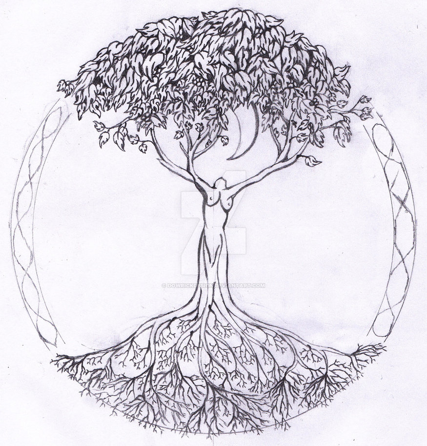 Tree Of Life Pencil Drawing at Explore collection