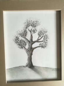 219x292 Pencil Drawings Tree Of Life - Tree Of Life Pencil Drawing