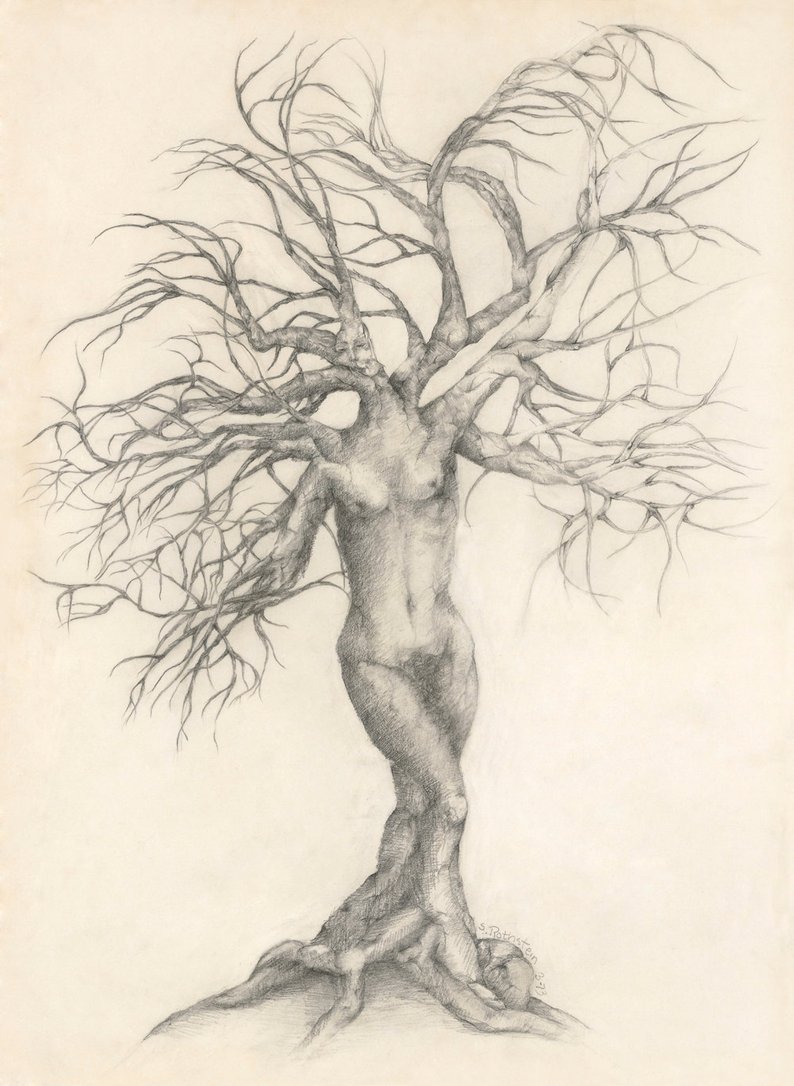 794x1086 Woman In Tree Life Journey My Soul Spoke To Etsy - Tree Of Life Pencil Drawing
