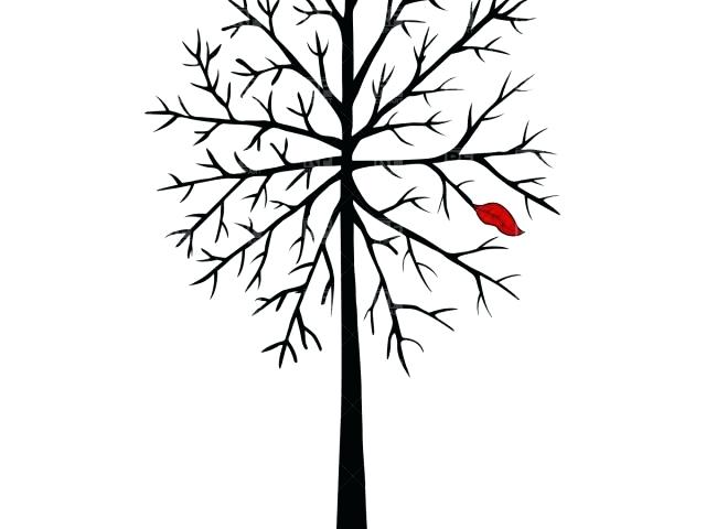 640x480 tree trunk outline with a tip outline the trunk in brown tree - Tree Outline Drawing