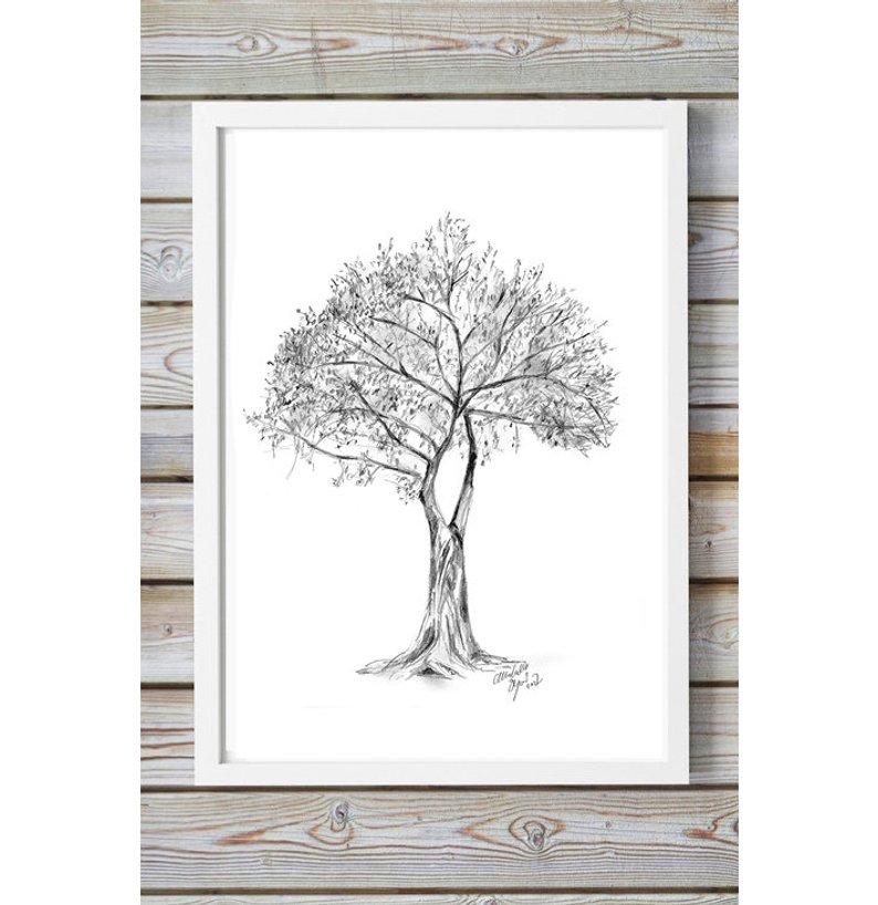 794x818 Italian Tree Art Pencil Drawing Giclee Print Nature Etsy - Tree Pencil Drawing