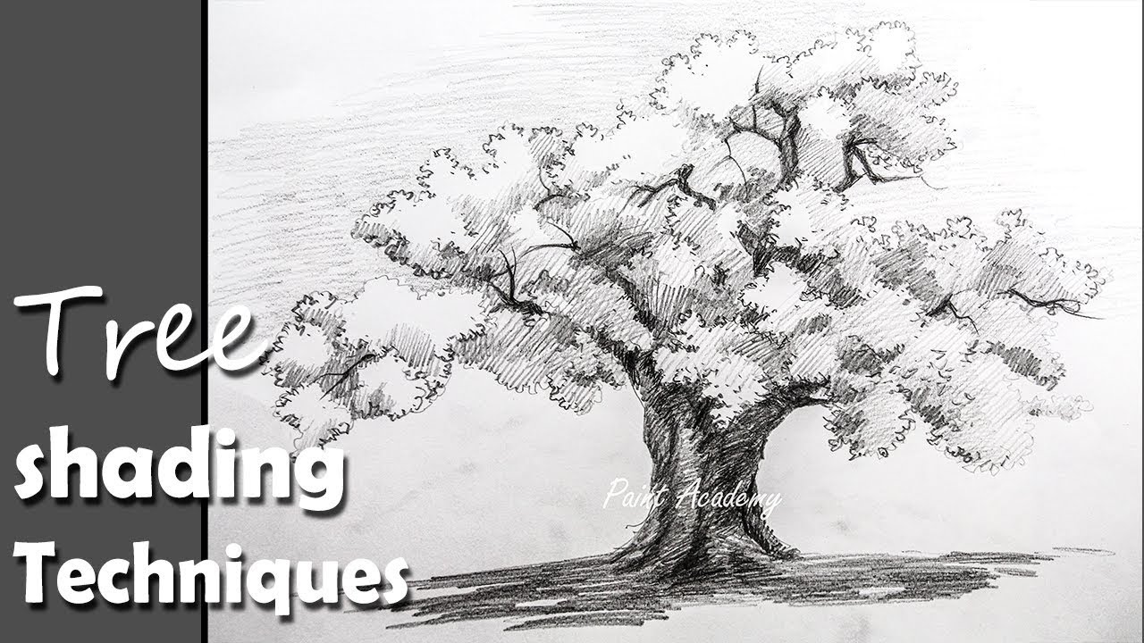 1280x720 pencil drawing how to draw a tree in pencil with proper shading - Tree Pencil Drawing