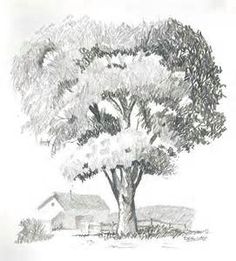 236x261 Best Pencil Drawing Of Trees Images In Pencil Drawings - Tree Pencil Drawing