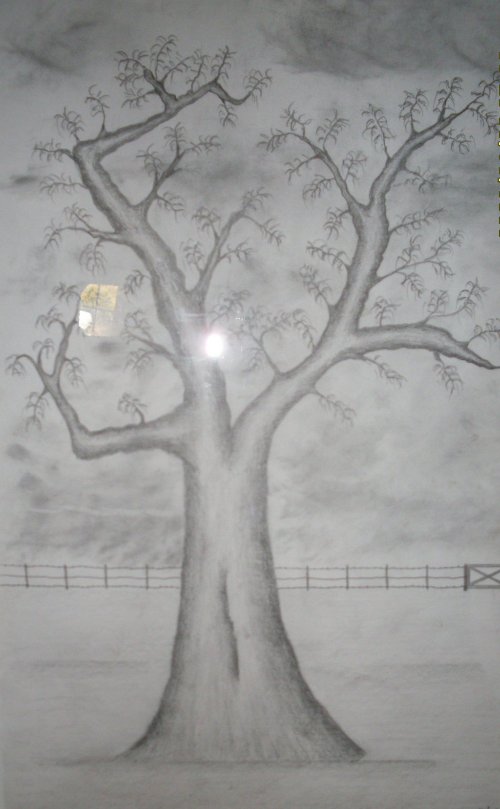 1024x1655 Dean Vanson Artwork Big Tree Original Drawing Pencil - Tree Pencil Drawing