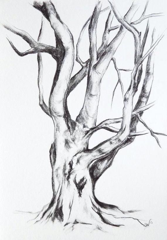 Tree Pencil Drawing at PaintingValley.com | Explore collection of Tree ...