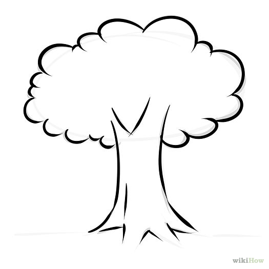 525x525 Easy Tree Drawings - Tree Picture Drawing