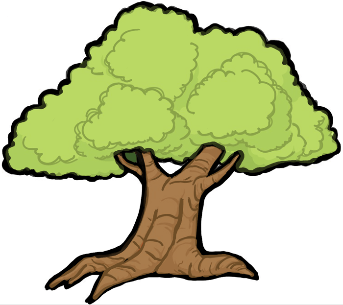700x623 How To Draw Cartoon Trees With Easy Step - Tree Picture Drawing
