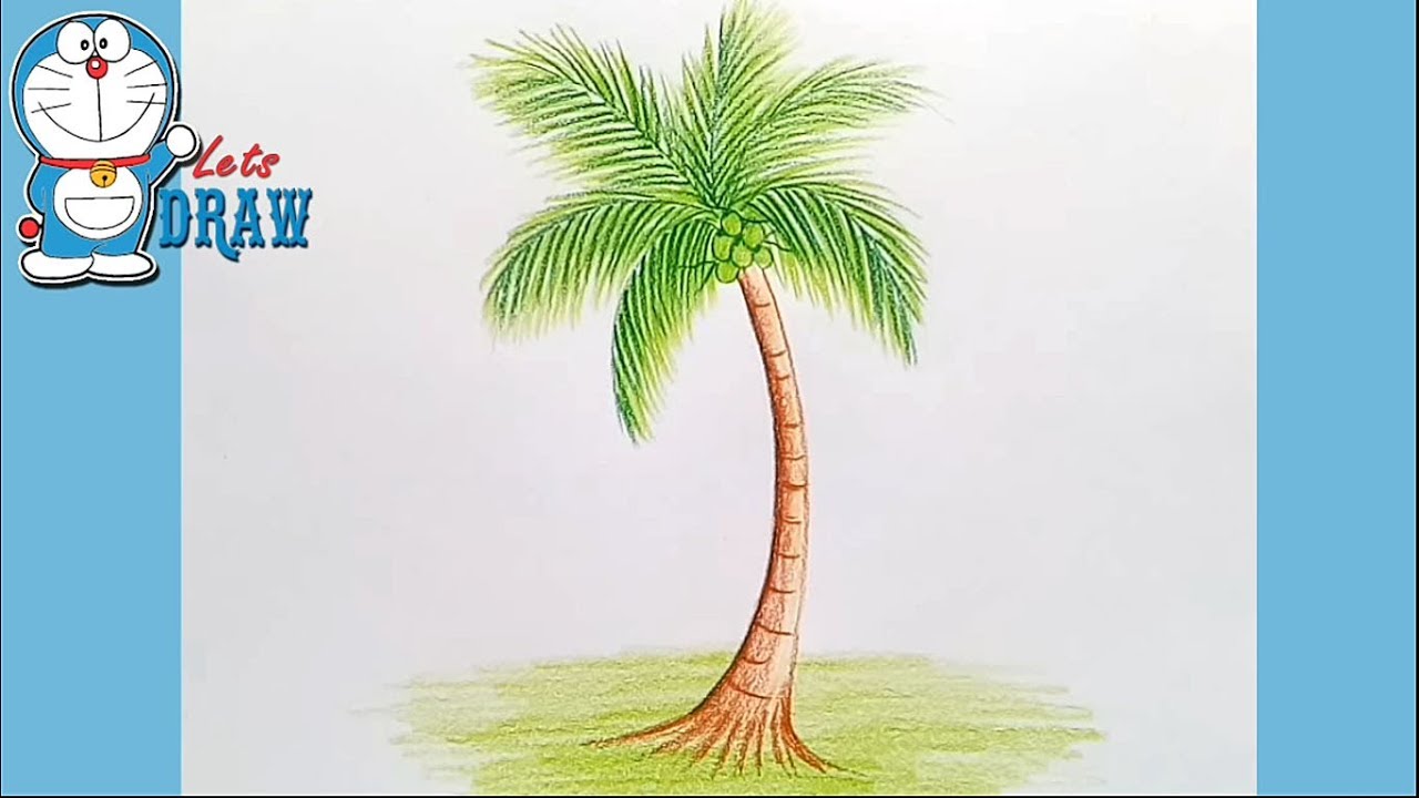 1280x720 How To Draw Coconut Tree Step - Tree Picture Drawing