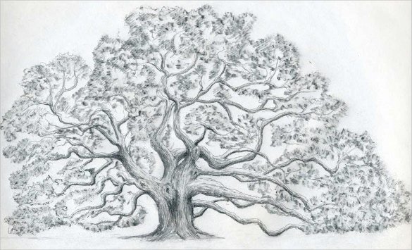 585x355 Cute Drawings Free Pdf, Format Download Free Premium - Tree Picture Drawing