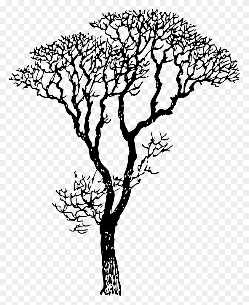 840x1029 Easy Drawing Images Free Download Best Easy Drawing Images - Tree Picture Drawing