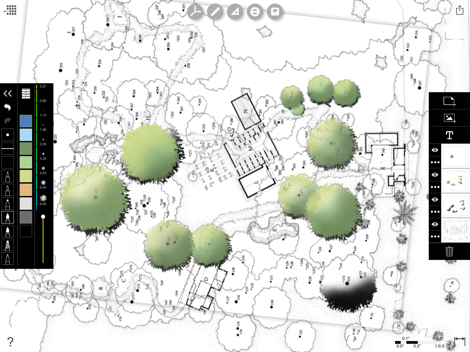 Tree Plan Drawing at PaintingValley.com | Explore collection of Tree ...