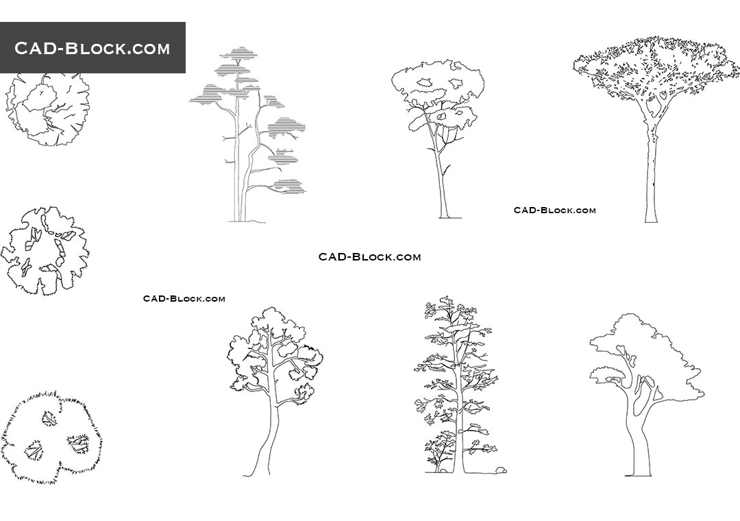 1080x760 Pine Tree Cad Blocks, Autocad Models Free Download, Trees In Plan - Tree Plan Drawing