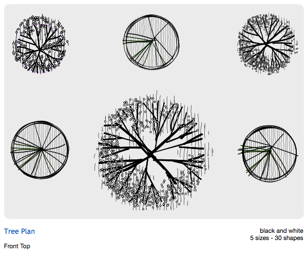 600x500 Tree Top View Png Drawing - Tree Plan Drawing
