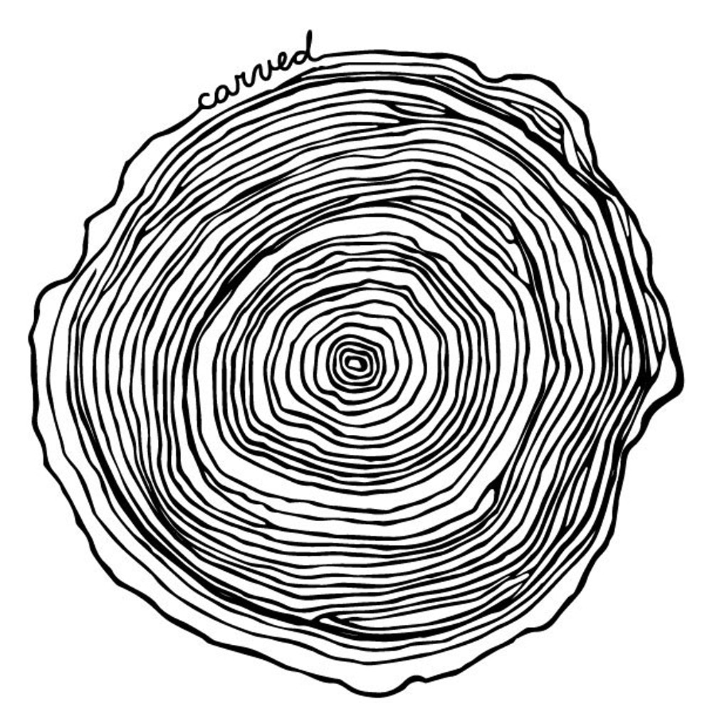 Tree Ring Drawing at Explore collection of Tree