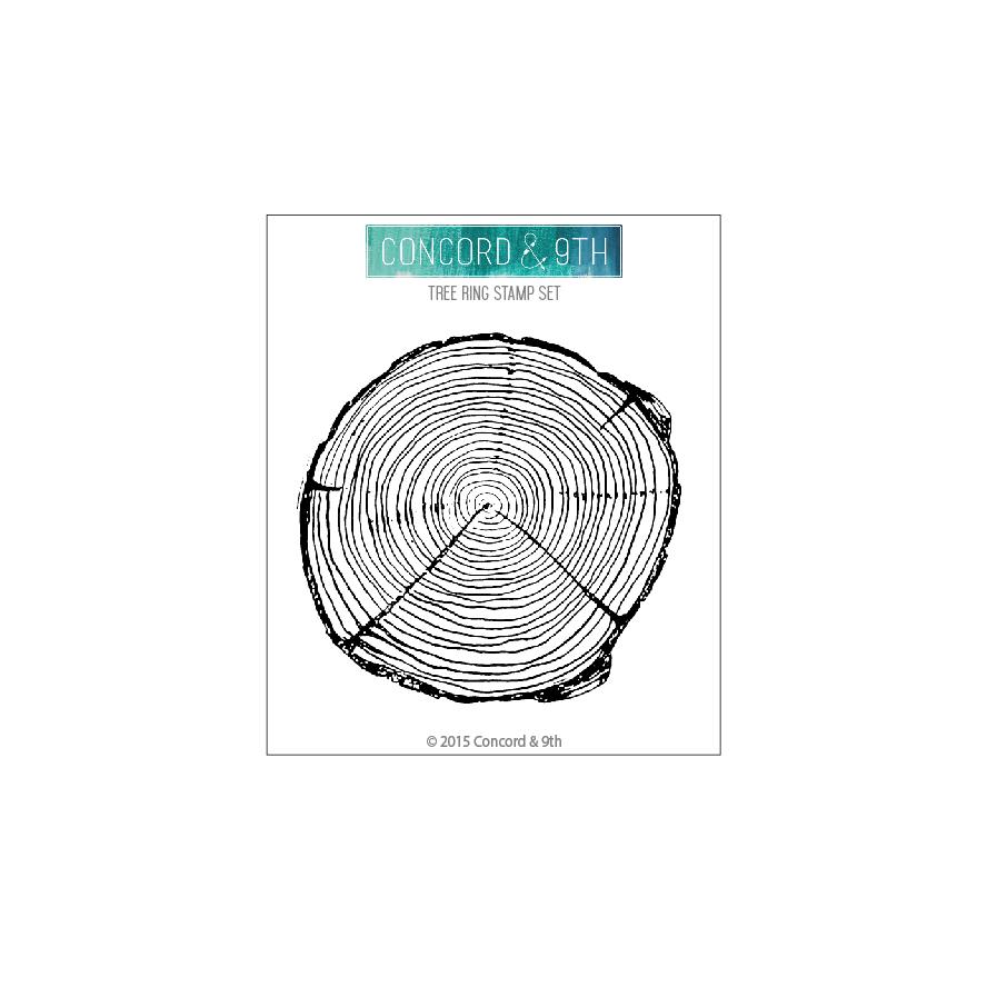 888x888 Tree Ring - Tree Ring Drawing