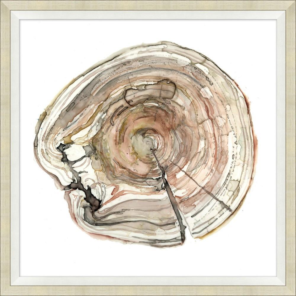 1000x1000 Tree Ring Timbre Art Loft - Tree Ring Drawing