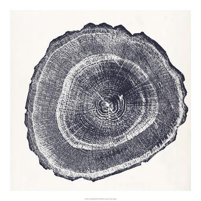 400x400 Tree Ring Iii Giclee Print - Tree Ring Drawing