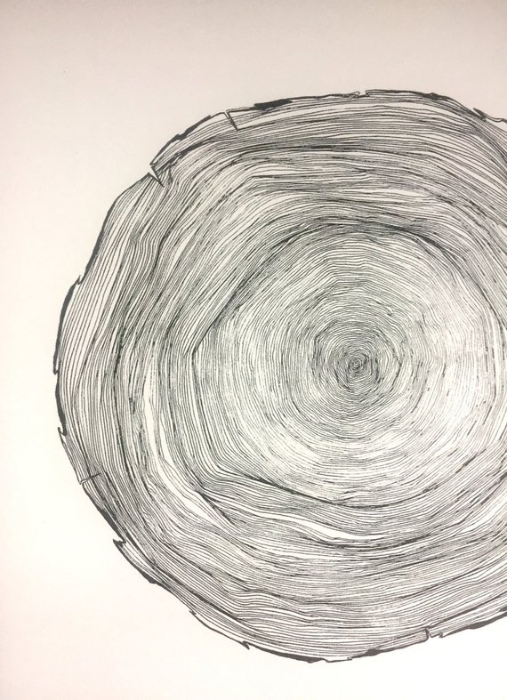 570x787 Tree Ring Print Etsy - Tree Ring Drawing