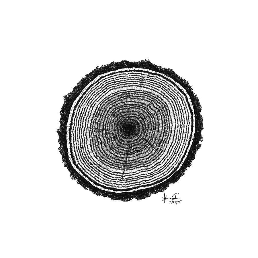 900x900 Tree Rings Drawing - Tree Ring Drawing