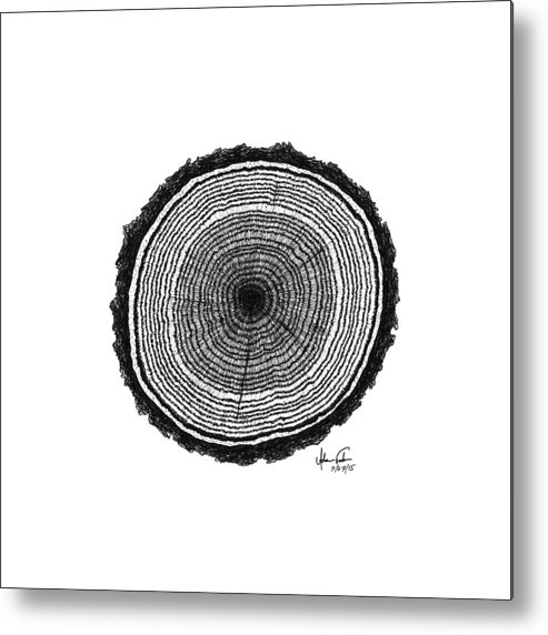 493x572 Tree Rings Metal Print - Tree Ring Drawing