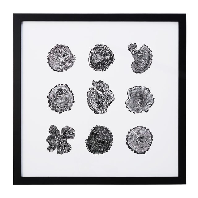 640x640 grove tree ring print tree ring, tree art uncommongoods - Tree Ring Drawing