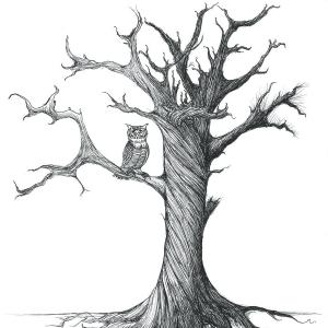 300x300 drawing of tree with roots tree roots drawing png soidergi - Tree Roots Drawing