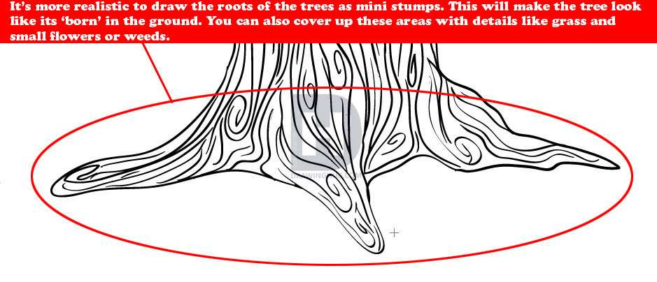 939x404 How To Draw Trees, Step - Tree Roots Drawing