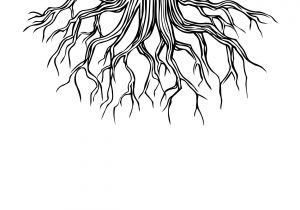 300x210 tree drawing with roots oak tree drawing oak tree roots related - Tree Roots Drawing