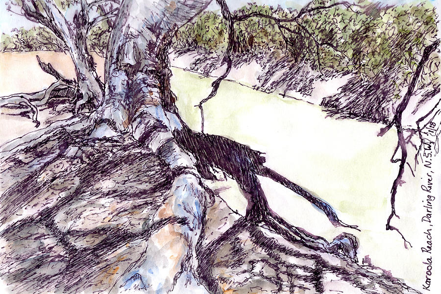 900x600 Tree Roots Drawing - Tree Roots Drawing