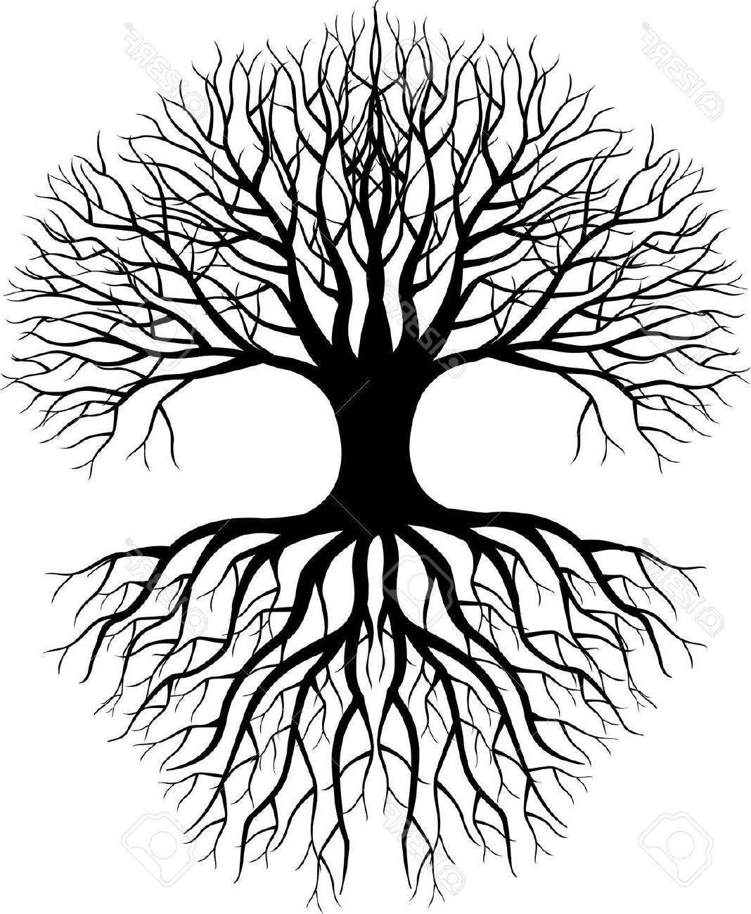 1068x1300 Tree With Roots Drawing - Tree Roots Drawing