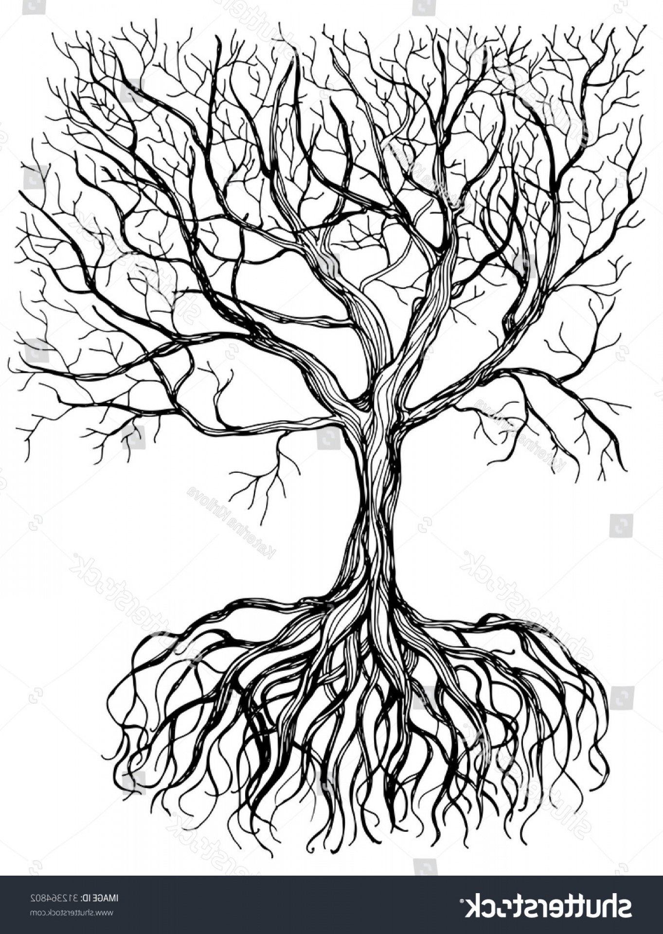 Tree Roots Drawing at PaintingValley.com | Explore collection of Tree ...